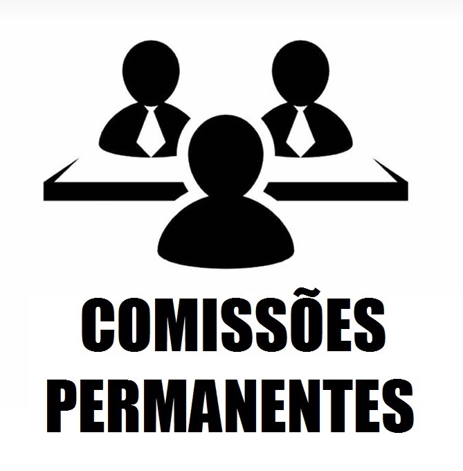 2019228_01. COMISSÕES PERMANENTES